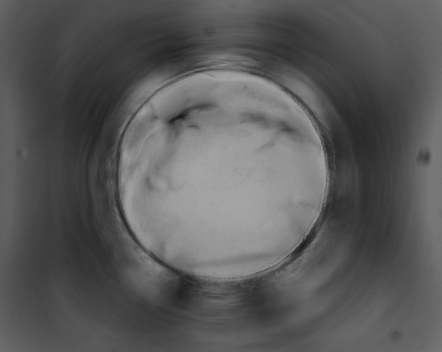 X0000100891338200807220942