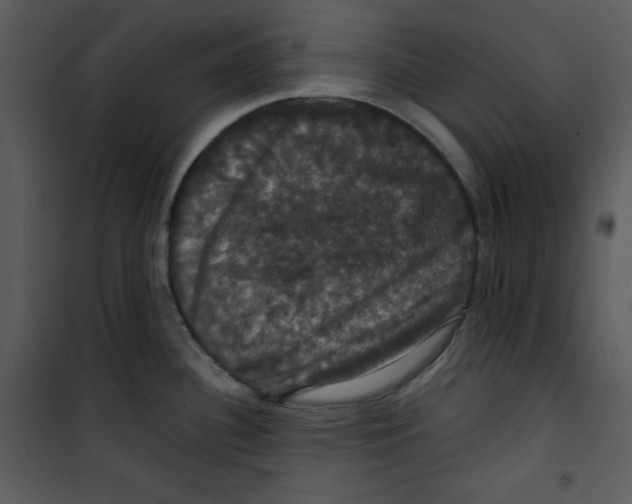 X0000100891340200807220942