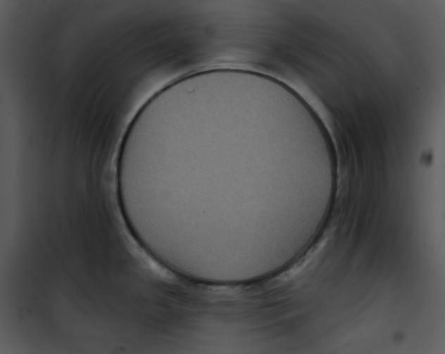 X0000100891341200807220942