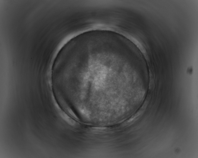 X0000100891342200807220942