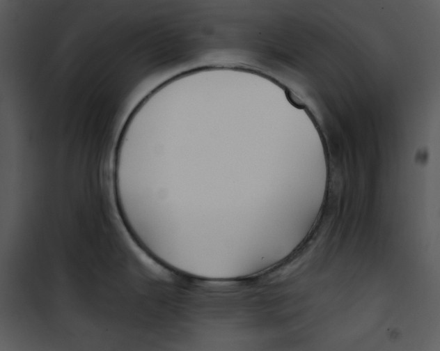 X0000100891343200807220942