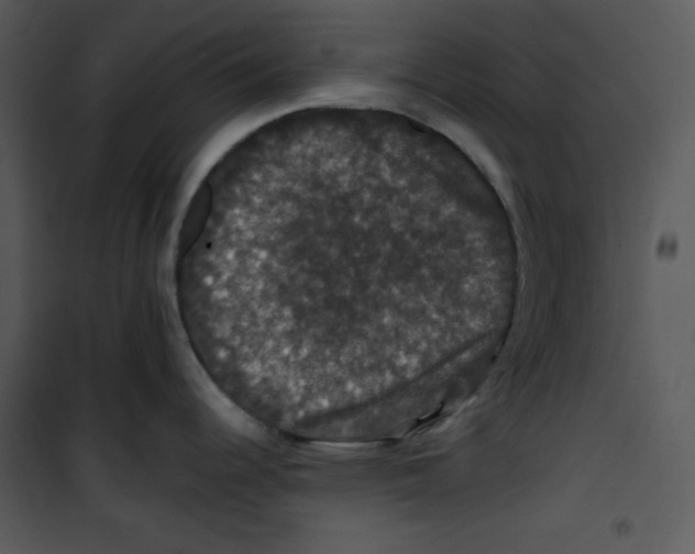 X0000100891344200807220942