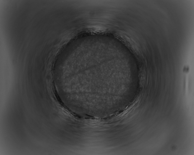 X0000100891345200807220942