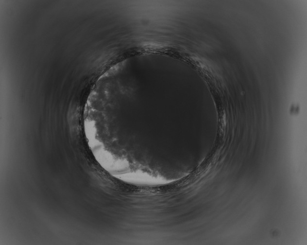 X0000100891346200807220941