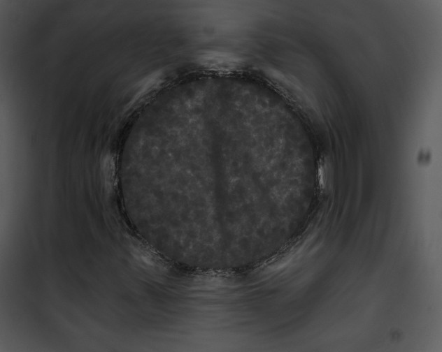 X0000100891347200807220941