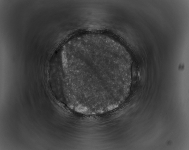 X0000100891348200807220941