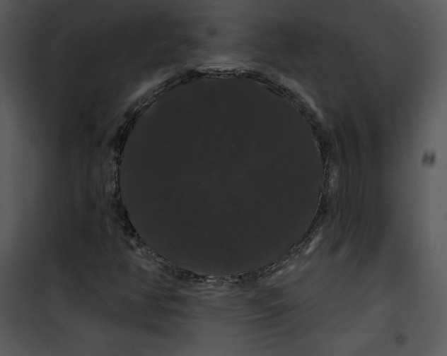 X0000100891350200807220941