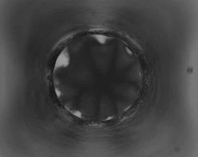 X0000100891351200807220941