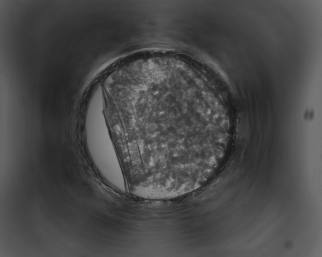 X0000100891352200807220941