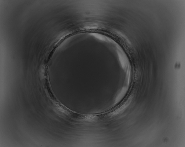 X0000100891353200807220941