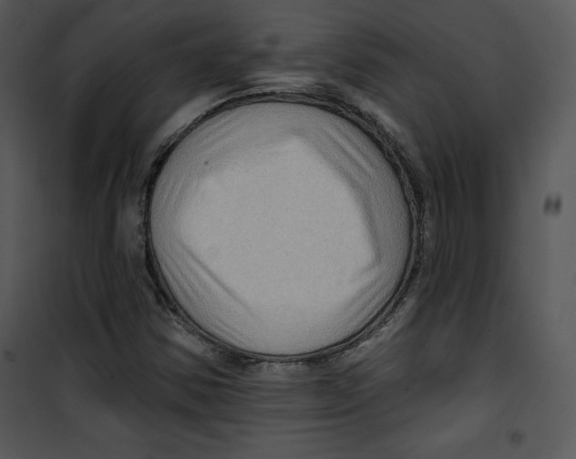 X0000100891354200807220941