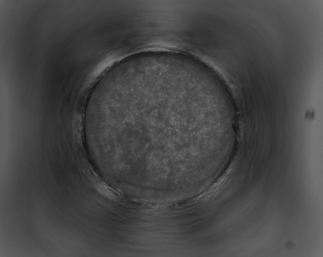 X0000100891355200807220941