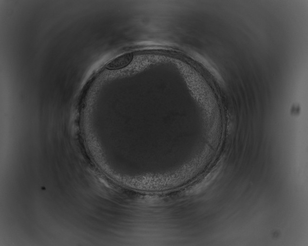 X0000100891357200807220941