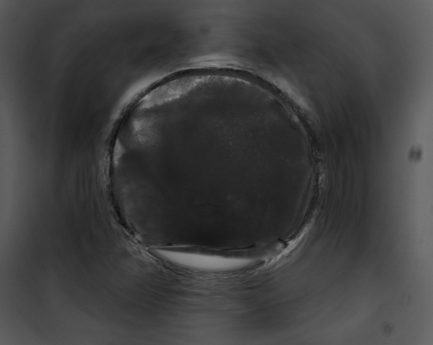 X0000100891358200807220941