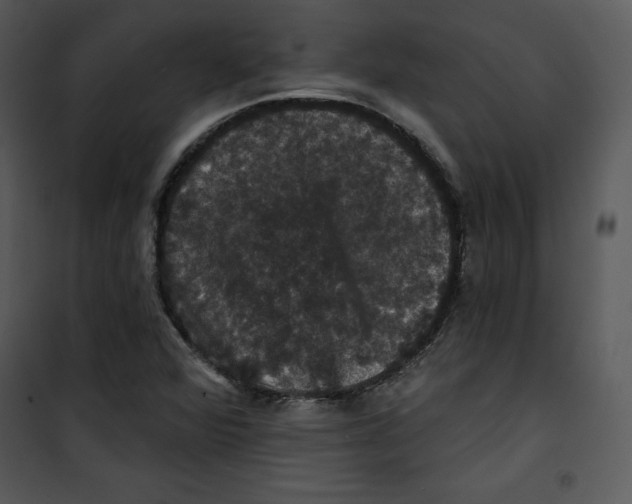 X0000100891360200807220941