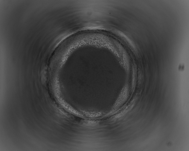 X0000100891361200807220941