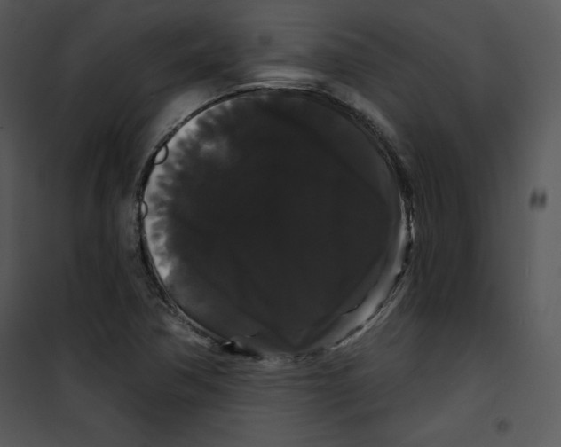 X0000100891362200807220941