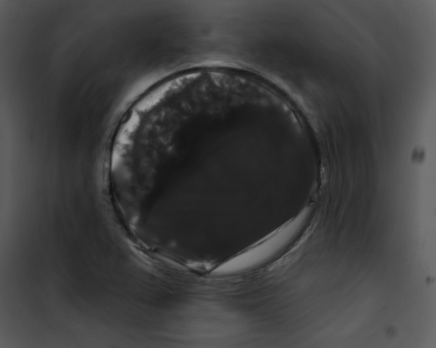 X0000100891367200807220941