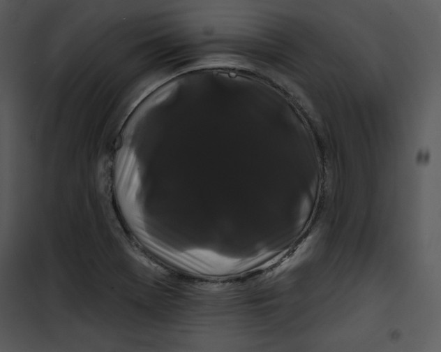 X0000100891369200807220941