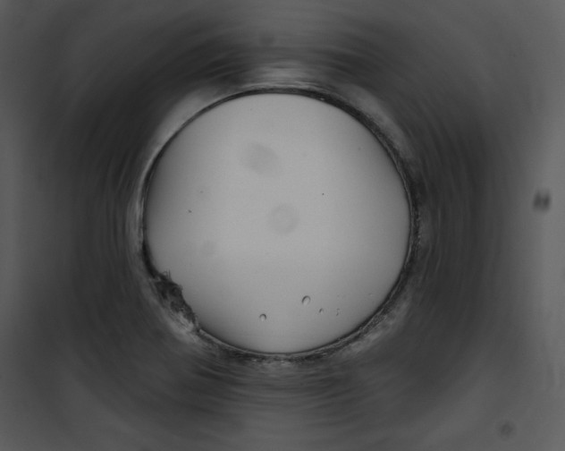 X0000100891370200807220941