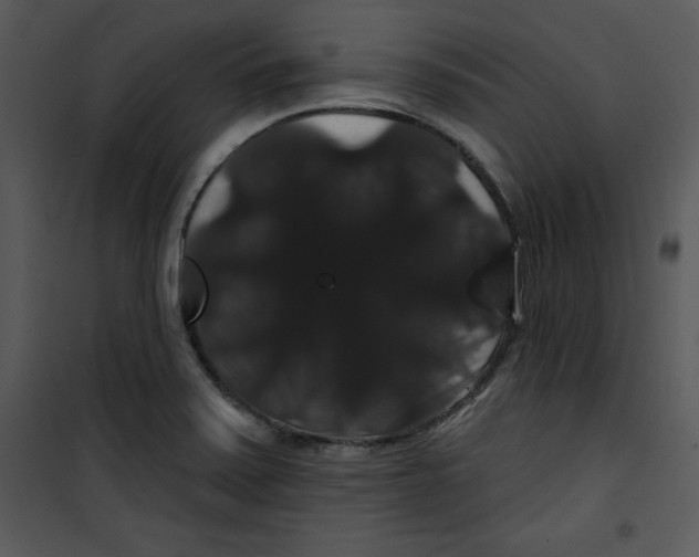 X0000100891371200807220941