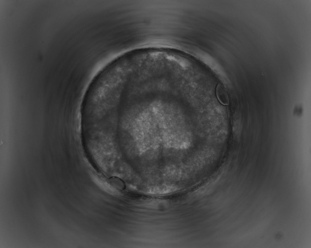 X0000100891372200807220941