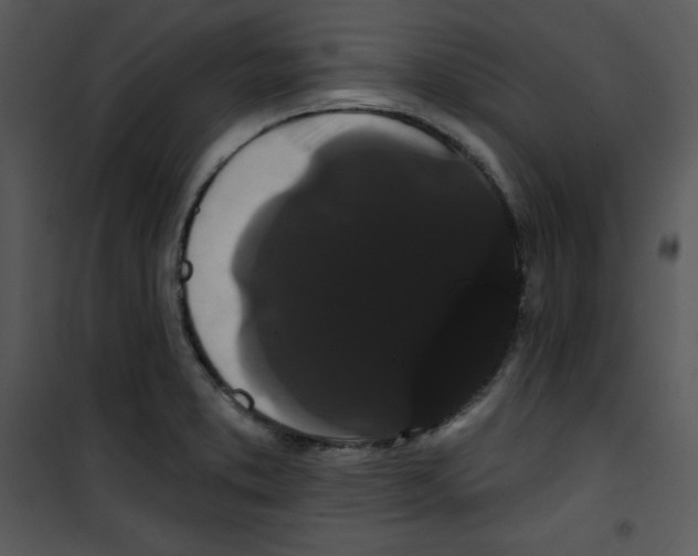 X0000100891373200807220941