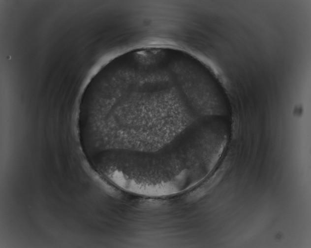 X0000100891374200807220941