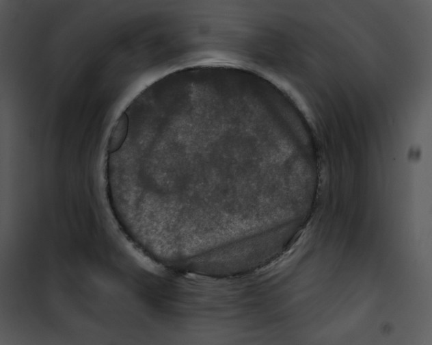 X0000100891375200807220941