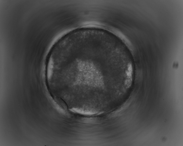 X0000100891376200807220941