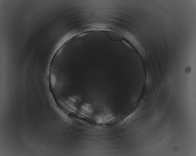 X0000100891378200807220941