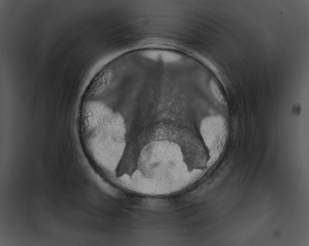 X0000100891379200807220941