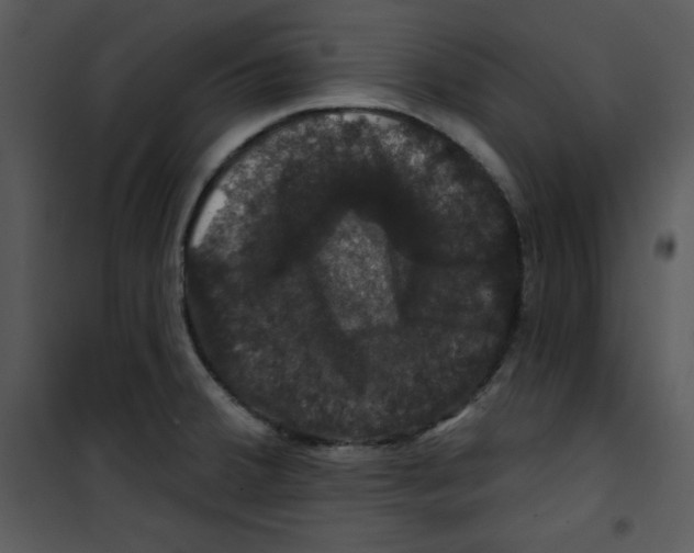 X0000100891380200807220941