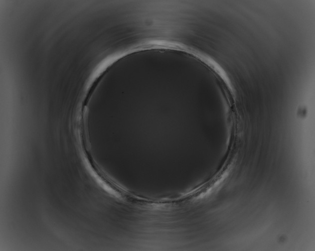 X0000100891381200807220941