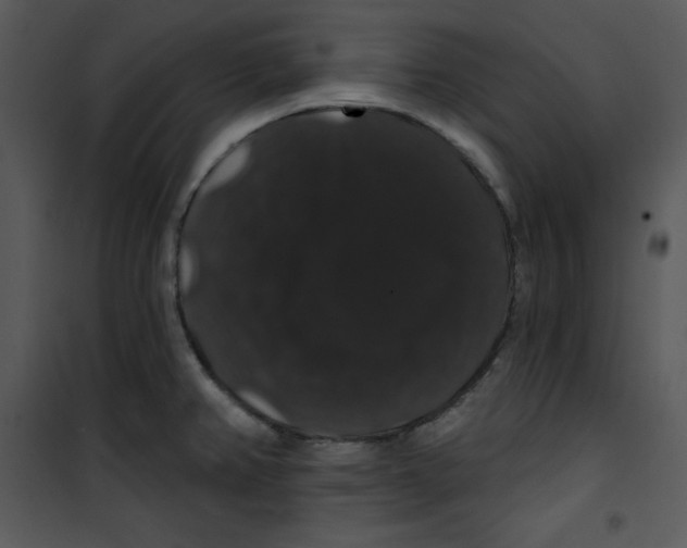 X0000100891382200807220941