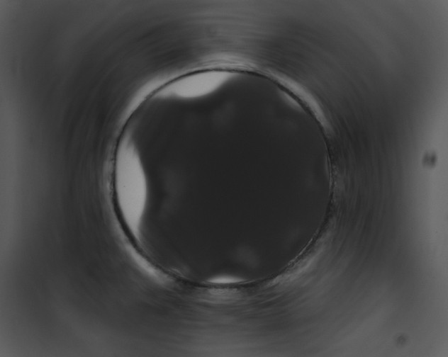 X0000100891383200807220941