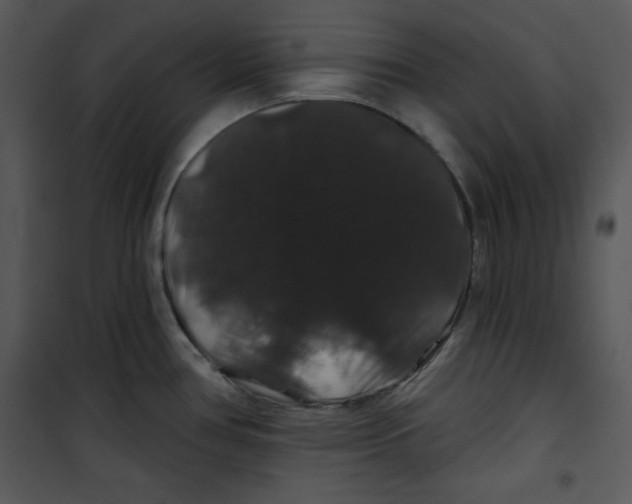 X0000100891386200807220941