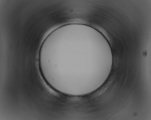 X0000100891387200807220941