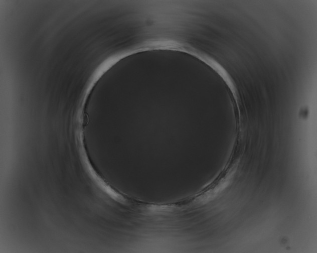 X0000100891389200807220941