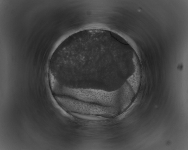 X0000100891390200807220941