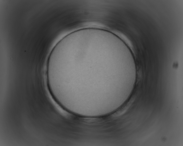 X0000100891391200807220941