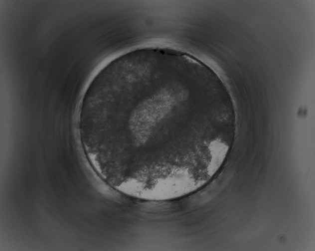 X0000100891392200807220941