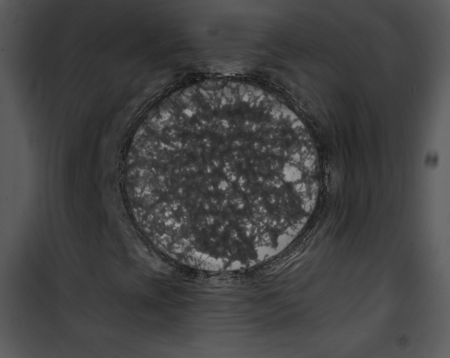 X0000100891393200807220940