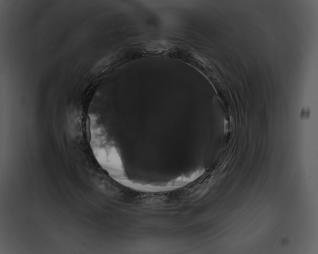 X0000100891394200807220940