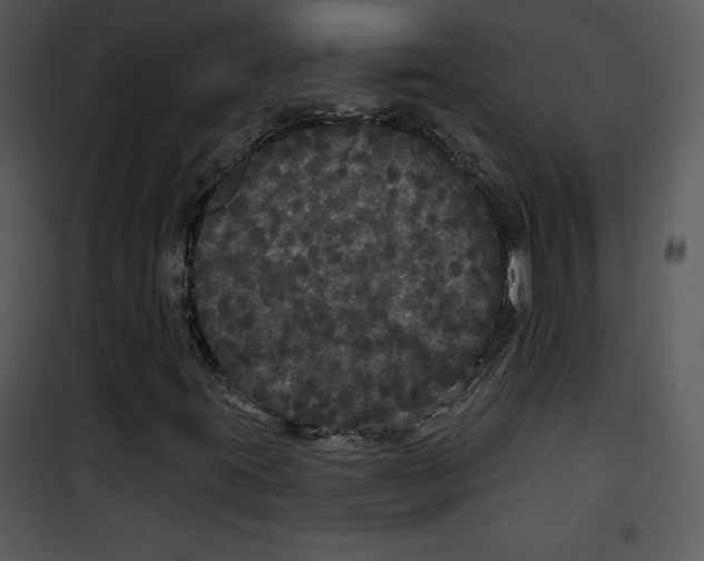 X0000100891395200807220940