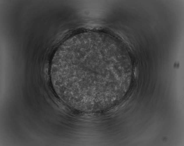 X0000100891396200807220940