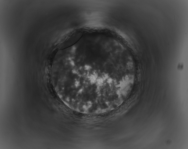 X0000100891397200807220940