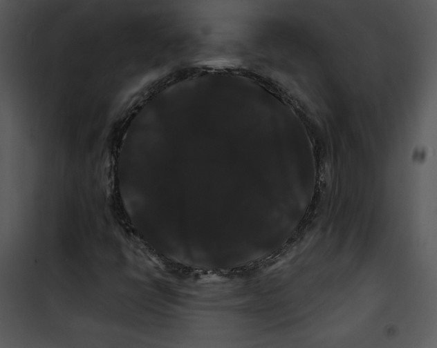 X0000100891398200807220940