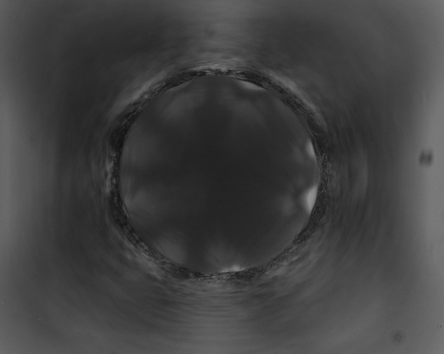 X0000100891399200807220940