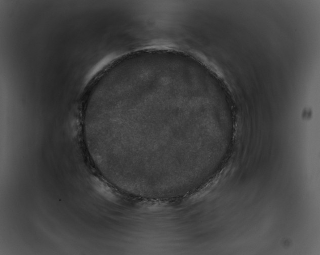 X0000100891400200807220940